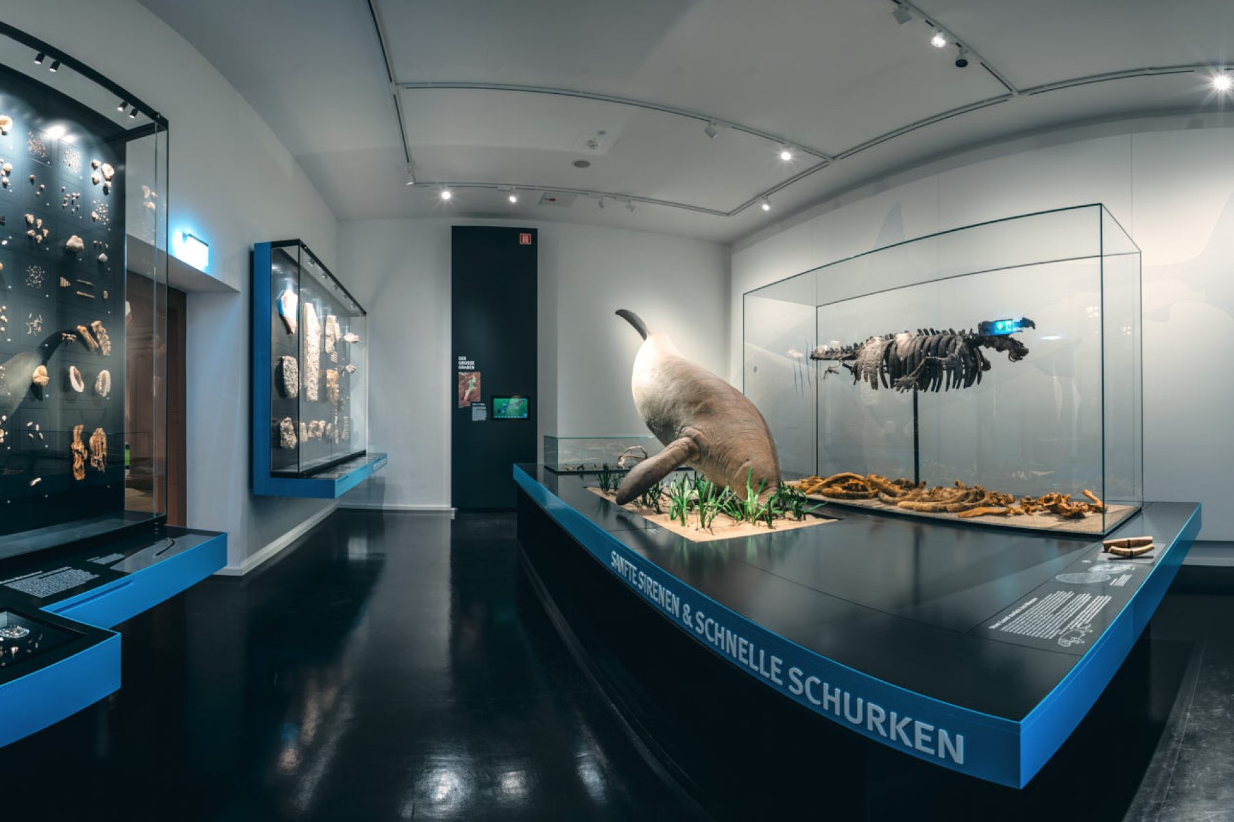 Naturhistorisches Museum Mainz