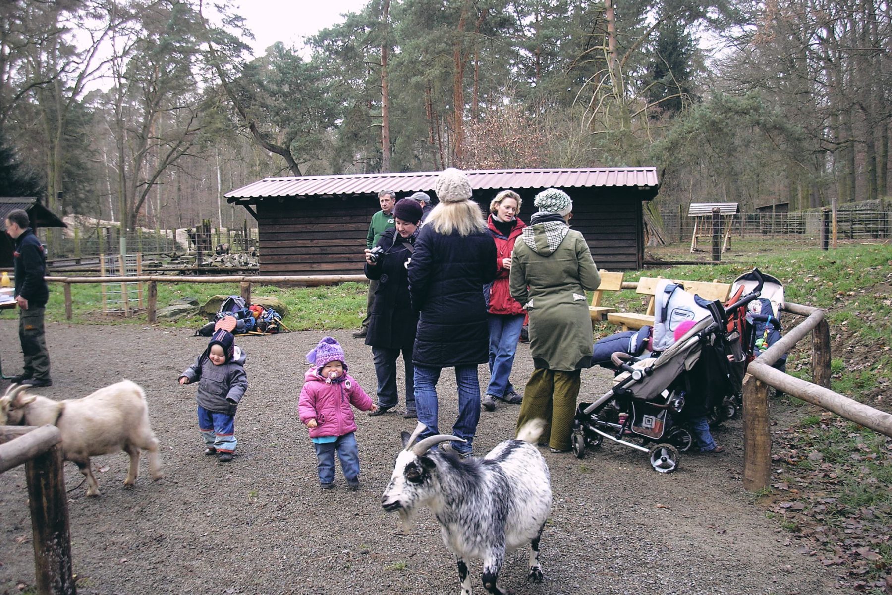 Wildpark Alte Fasanerie
