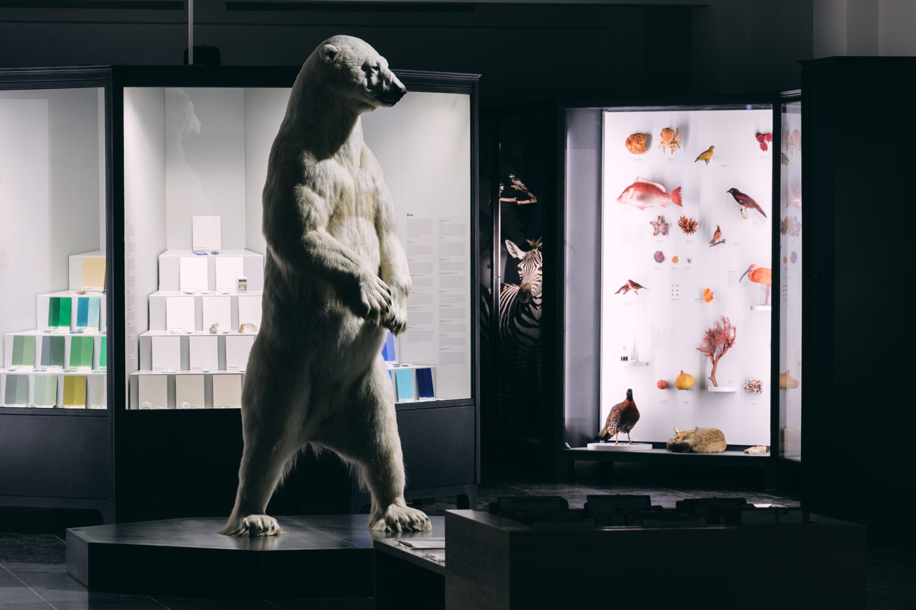 Landesmuseum Wiesbaden