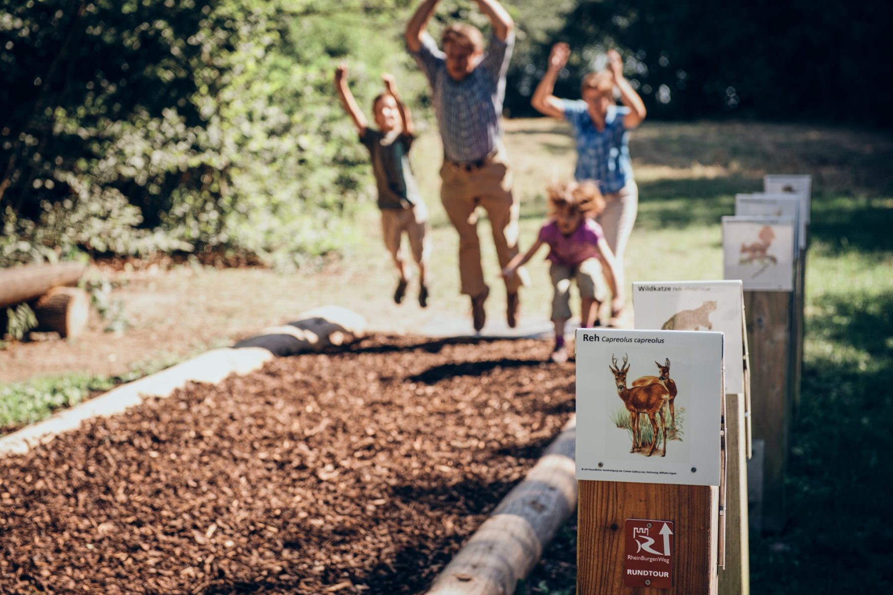 Erlebnispfad Binger Wald