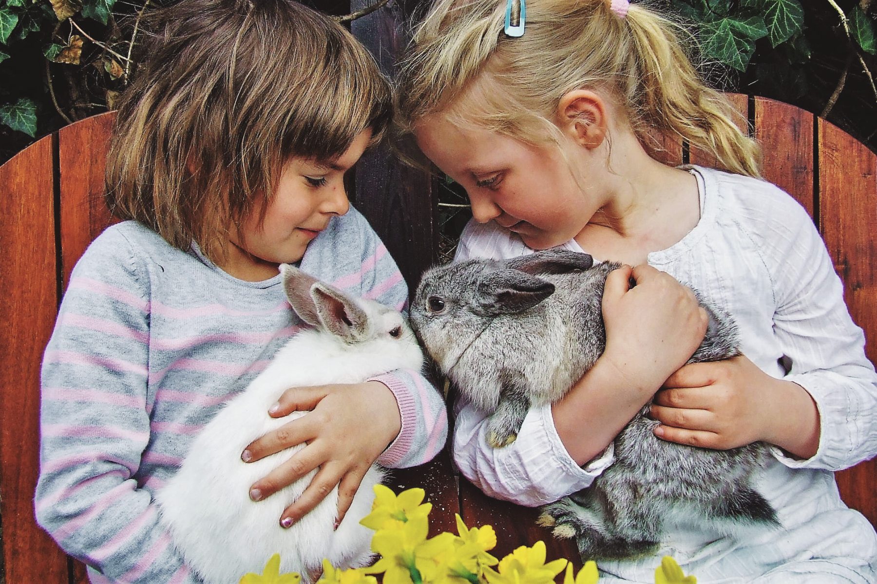 Abenteuerland der Sinne