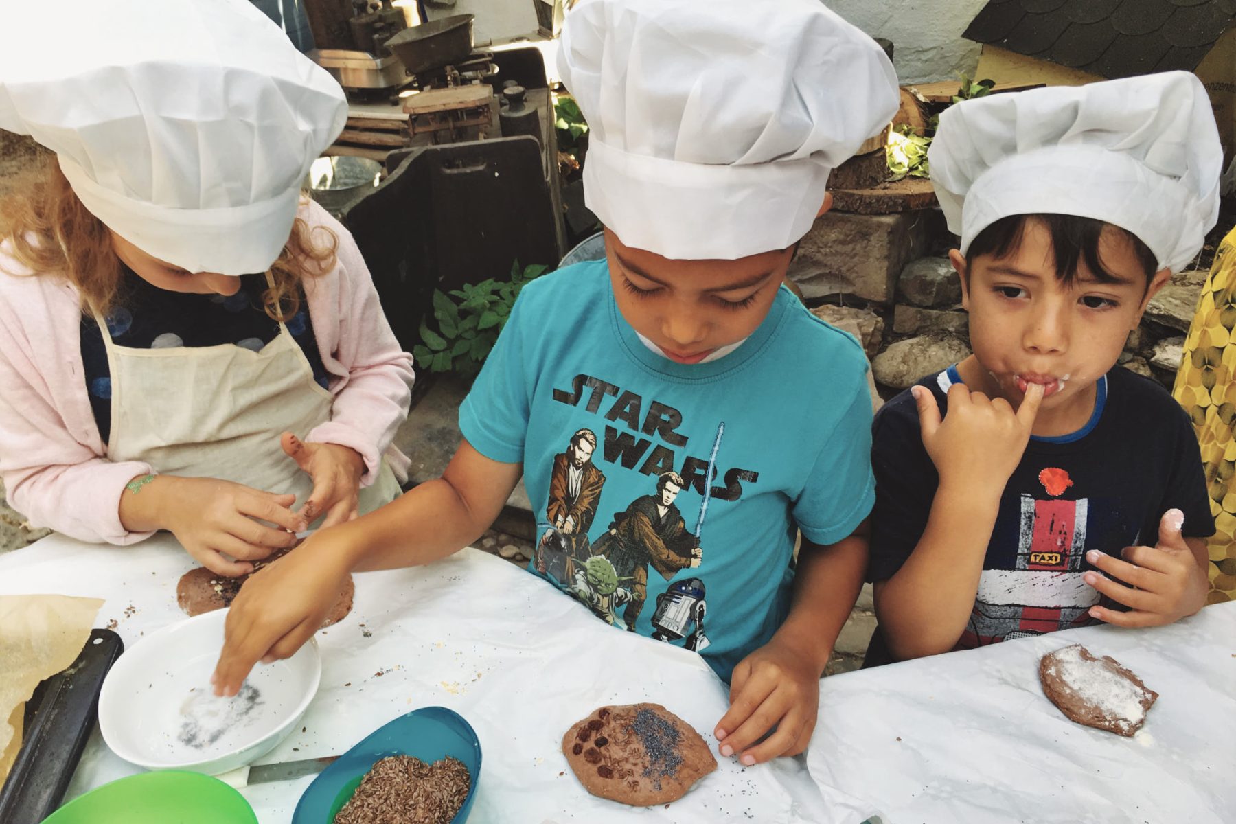 Abenteuerland der Sinne